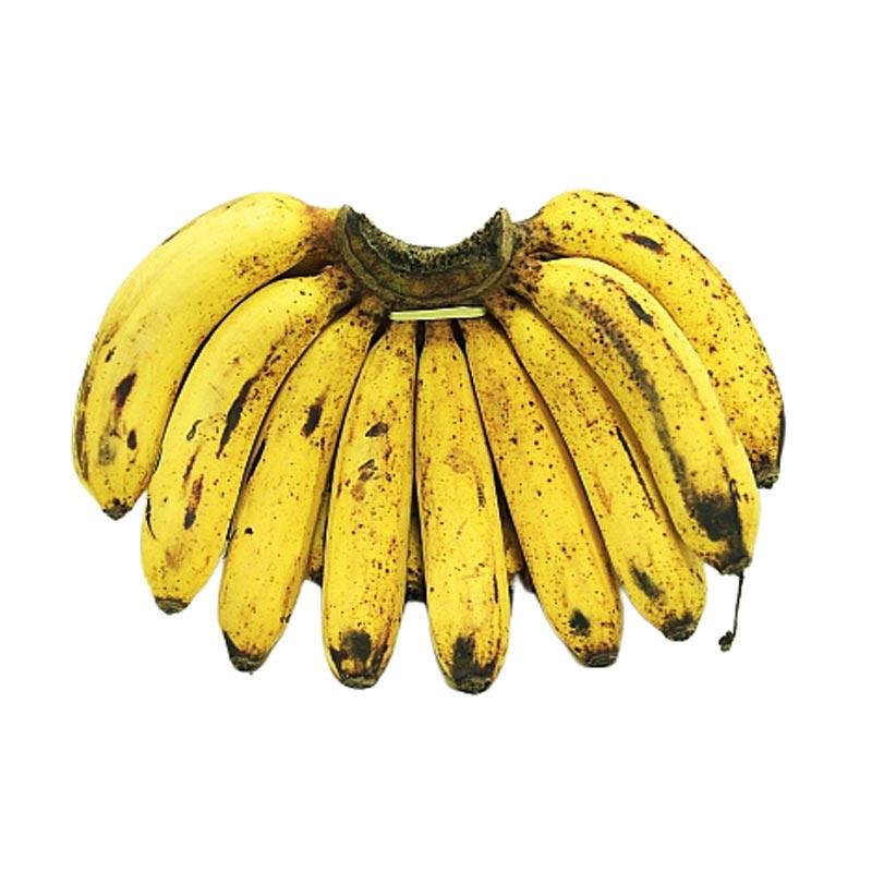 Galeri Pisang Barangan