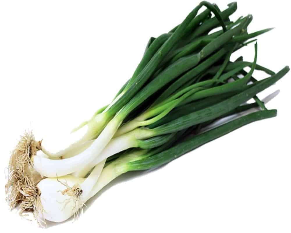 Daun bawang