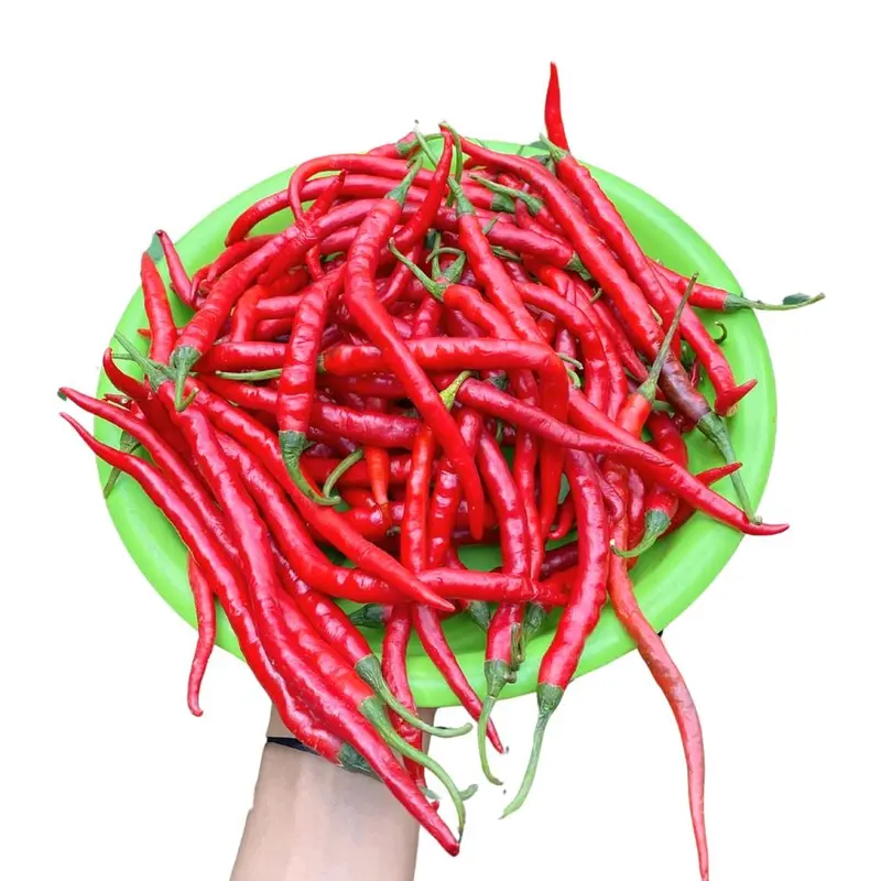 Cabe Merah